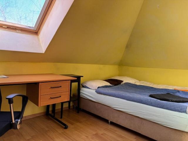 Center-big-apartman-110m2-tv-internet Apartment *